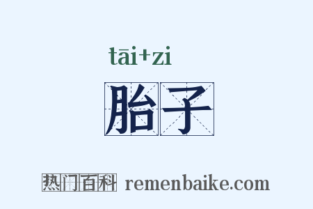 胎子是什么意思的图片